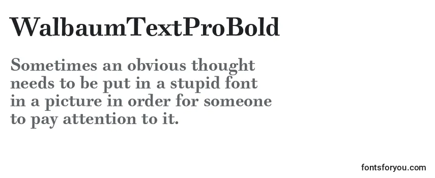 WalbaumTextProBold Font