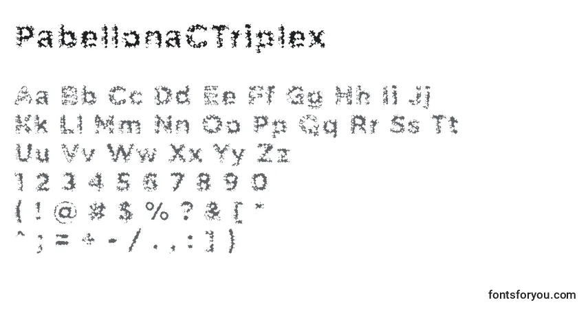 characters of pabellonactriplex font, letter of pabellonactriplex font, alphabet of  pabellonactriplex font