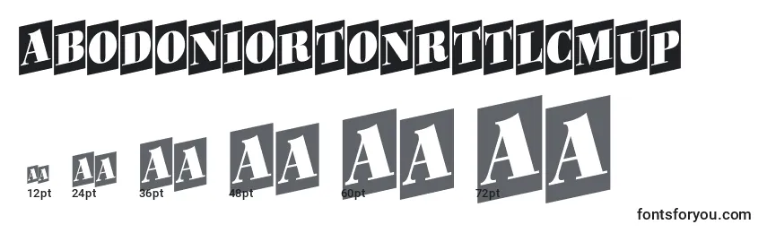 sizes of abodoniortonrttlcmup font, abodoniortonrttlcmup sizes