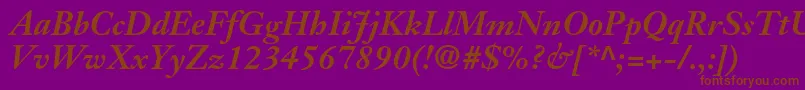 JansontextltstdBolditalic Font – Brown Fonts on Purple Background