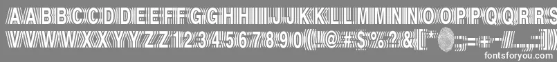 フォントEcho – 灰色の背景に白い文字