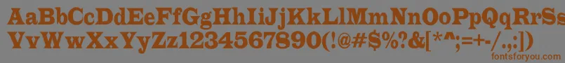 ALatinorgnr Font – Brown Fonts on Gray Background