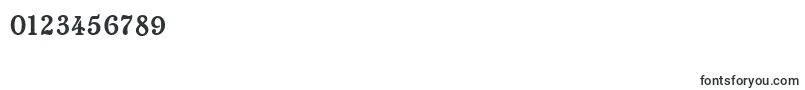ChatelaineRegular Font – Fonts for Numbers and Digits