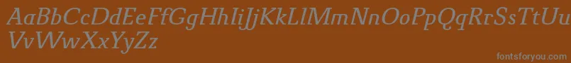 NovelloProItalic Font – Gray Fonts on Brown Background