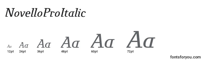 Размеры шрифта NovelloProItalic