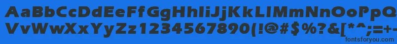 ErgoemildblackRegular Font – Black Fonts on Blue Background