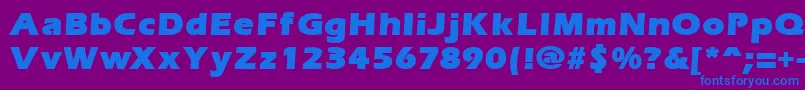 ErgoemildblackRegular Font – Blue Fonts on Purple Background