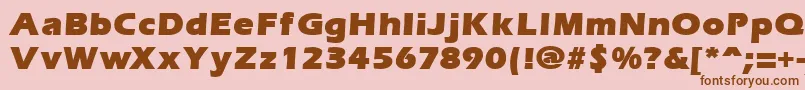 ErgoemildblackRegular Font – Brown Fonts on Pink Background