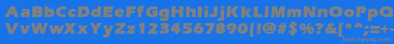 ErgoemildblackRegular Font – Gray Fonts on Blue Background