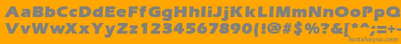 ErgoemildblackRegular Font – Gray Fonts on Orange Background