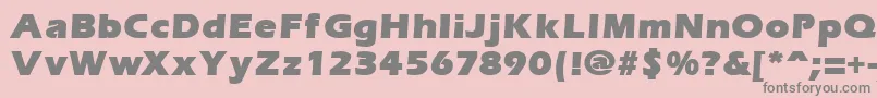 ErgoemildblackRegular Font – Gray Fonts on Pink Background