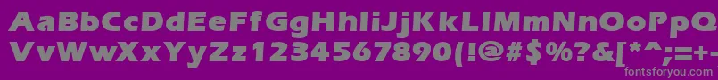 ErgoemildblackRegular Font – Gray Fonts on Purple Background