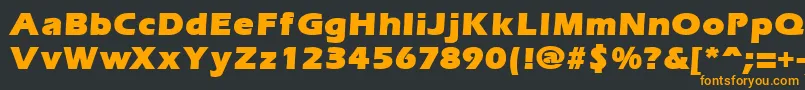 ErgoemildblackRegular Font – Orange Fonts on Black Background