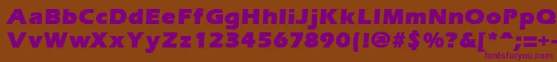 ErgoemildblackRegular Font – Purple Fonts on Brown Background