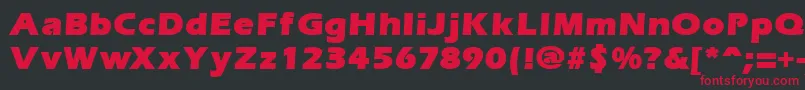 ErgoemildblackRegular Font – Red Fonts on Black Background