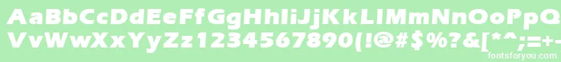 ErgoemildblackRegular Font – White Fonts on Green Background