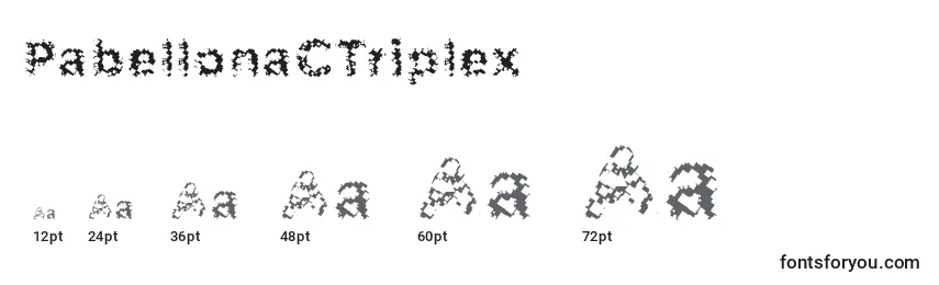 Размеры шрифта PabellonaCTriplex