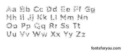 Обзор шрифта PabellonaCTriplex