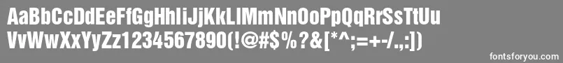 Bastionkontrastaltc Font – White Fonts on Gray Background