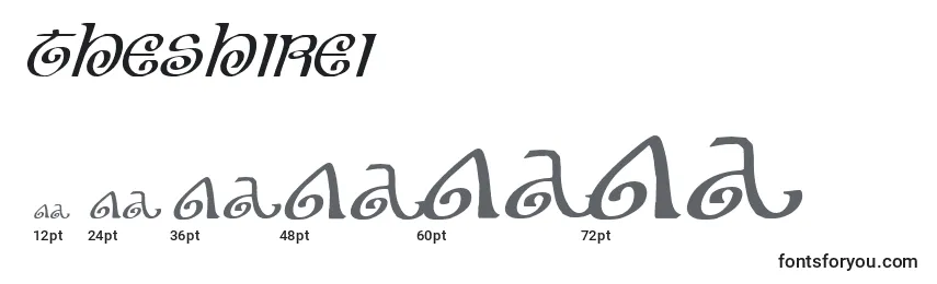 Theshirei Font Sizes