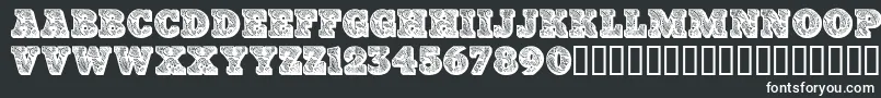 Paisleycaps ffy Font – White Fonts on Black Background