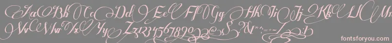 SomeweatzWithSwashes Font – Pink Fonts on Gray Background