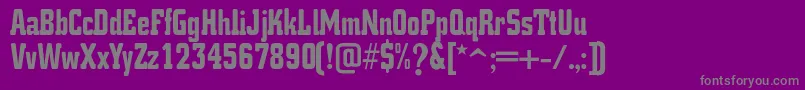K.O.ActivistaFont Font – Gray Fonts on Purple Background