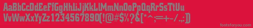 K.O.ActivistaFont Font – Gray Fonts on Red Background