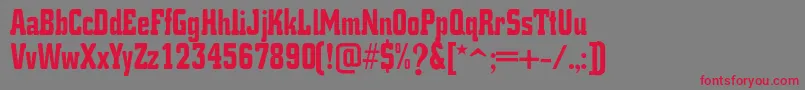 K.O.ActivistaFont Font – Red Fonts on Gray Background