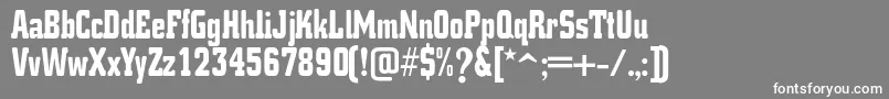 K.O.ActivistaFont Font – White Fonts on Gray Background