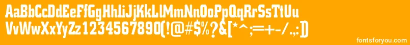 K.O.ActivistaFont Font – White Fonts on Orange Background