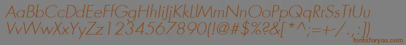 FuturaLtLightOblique Font – Brown Fonts on Gray Background