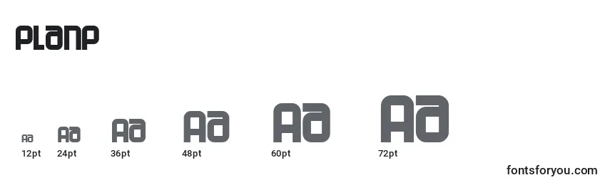 Planp Font Sizes