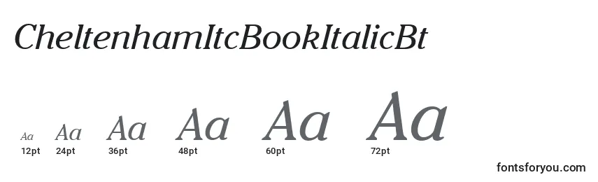 Размеры шрифта CheltenhamItcBookItalicBt