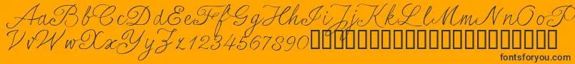 SersalT Font – Black Fonts on Orange Background