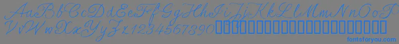 SersalT Font – Blue Fonts on Gray Background