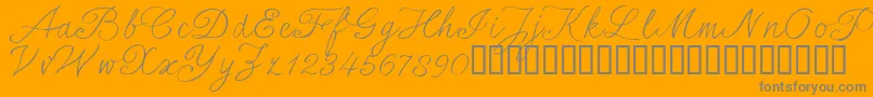 SersalT Font – Gray Fonts on Orange Background