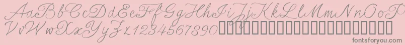 SersalT Font – Gray Fonts on Pink Background