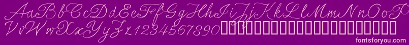 SersalT Font – Pink Fonts on Purple Background