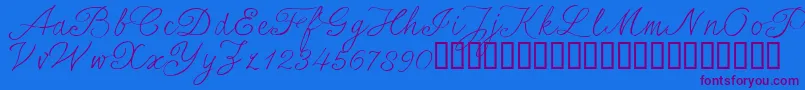 SersalT Font – Purple Fonts on Blue Background