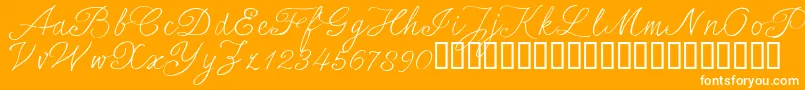 SersalT Font – White Fonts on Orange Background