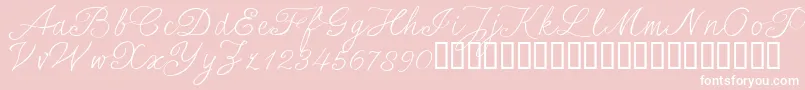 SersalT Font – White Fonts on Pink Background