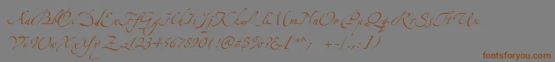 フォントZeferinoOne – 茶色の文字が灰色の背景にあります。