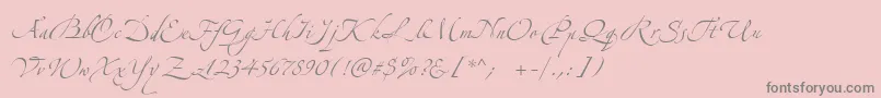 ZeferinoOne-Schriftart – Graue Schriften auf rosa Hintergrund