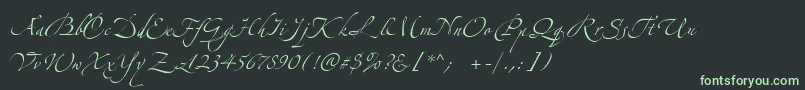 フォントZeferinoOne – 黒い背景に緑の文字