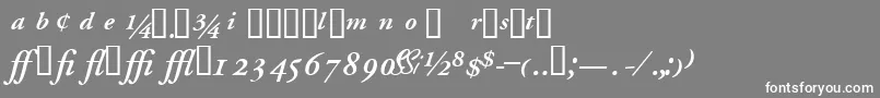 フォントGaramondprosskSemibolditalic – 灰色の背景に白い文字