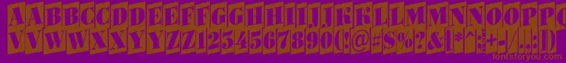 ABodoniortonrttlcmup Font – Brown Fonts on Purple Background