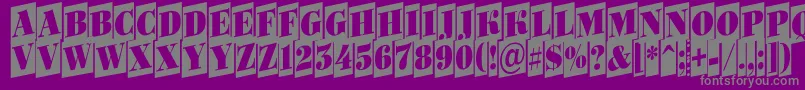 ABodoniortonrttlcmup Font – Gray Fonts on Purple Background