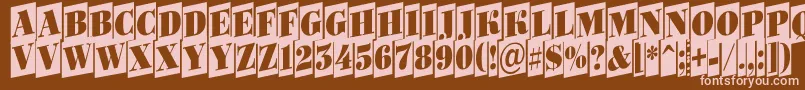 ABodoniortonrttlcmup Font – Pink Fonts on Brown Background