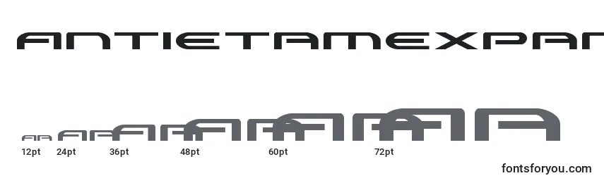sizes of antietamexpand font, antietamexpand sizes